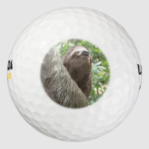 Sloth Climbing Golf Balls