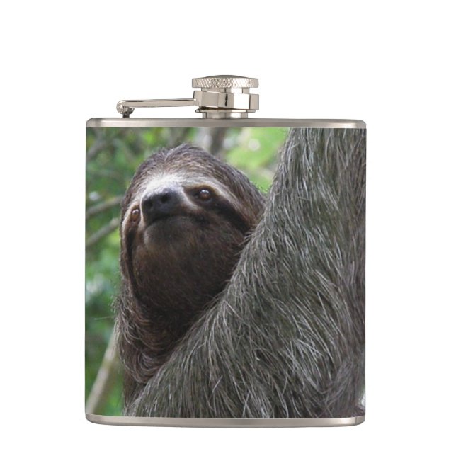 Sloth Climbing Tree Hip Flask (Front)