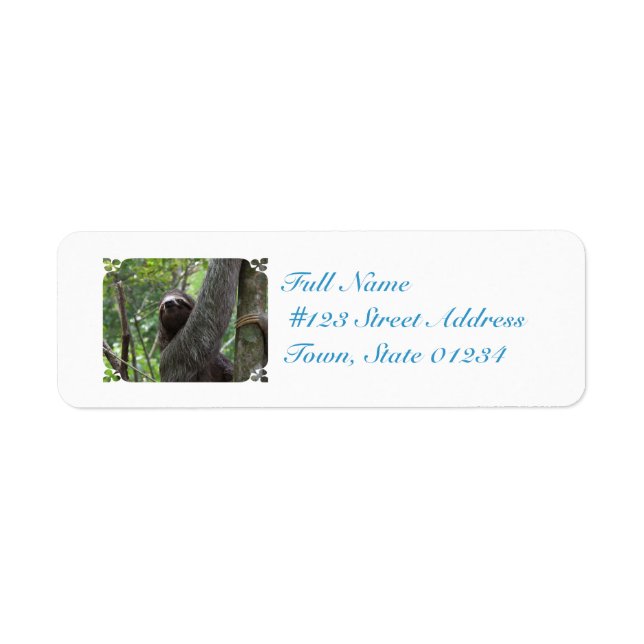 Sloth Climbing Tree Label (Front)