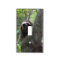 Sloth Climbing Tree