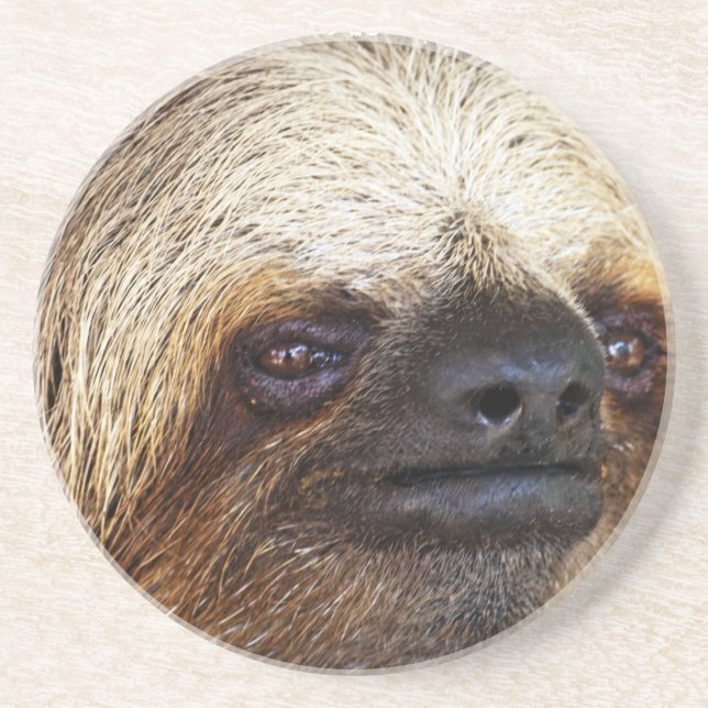 Sloth Coaster (Front)