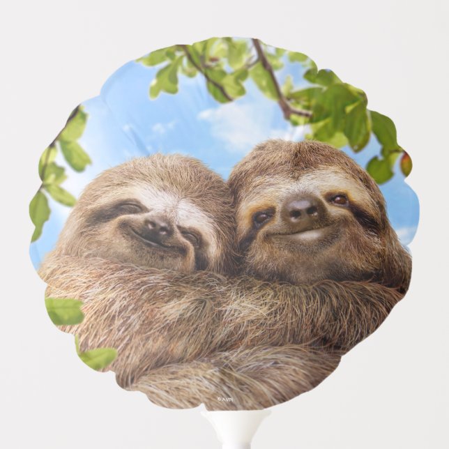 Sloth Couple Balloon (Front)
