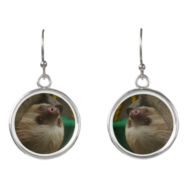 Sloth Earrings (Front)