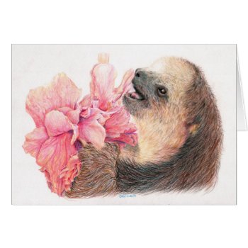 Sloth Eating Hibiscus Flower by Sloths_and_more at Zazzle