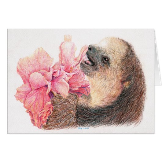 Sloth eating hibiscus flower cards (Front Horizontal)