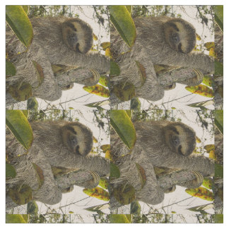 sloth fabric