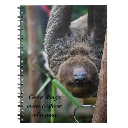 Sloth Hanging Out Edinburgh Zoo Card Notebook