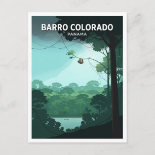 Sloth in Barro Colorado Island Rainforest Gamboa Postcard