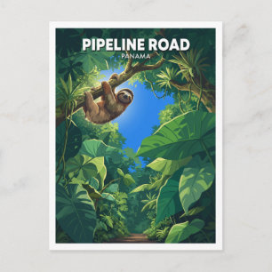 Sloth in Pipeline Road Rainforest Gamboa Panama Postcard