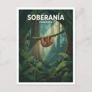Sloth in Soberanía National Park Rainforest Gamboa Postcard