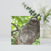 Sloth in Tree (Standing Front)