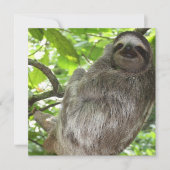 Sloth in Tree (Front)