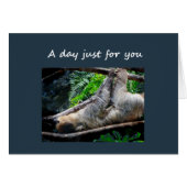 Sloth International Day Relax, Do Nothing Fun (Front Horizontal)