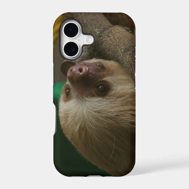 Sloth Iphone Case (Back)