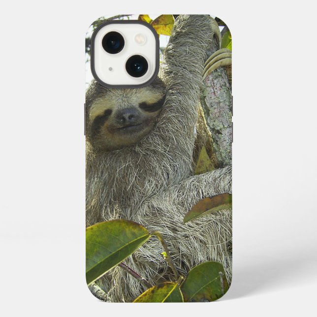 Sloth Iphone Case (Back)