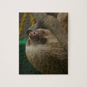 Sloth Jigsaw Puzzle