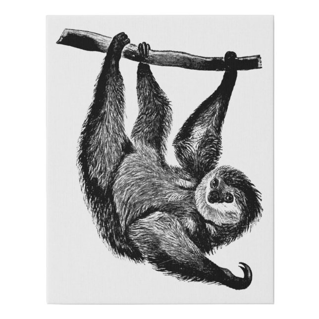 Sloth jungle safari animals art illustration faux canvas print (Front)