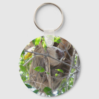 sloth keychain