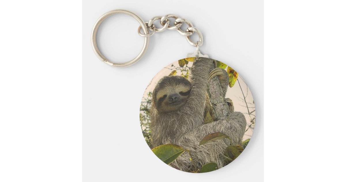 ty sloth keychain