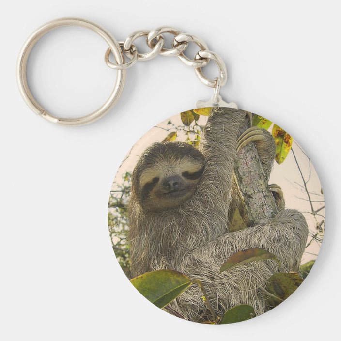 sloth plush keychain