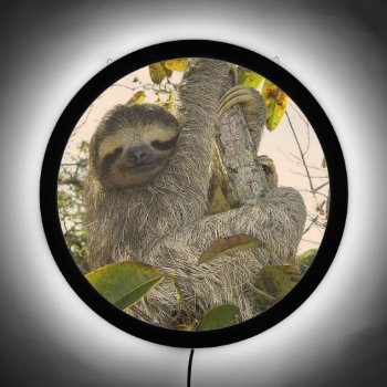Sloth  Led Sign by MehrFarbeImLeben at Zazzle
