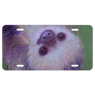 Sloth License Plate