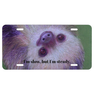 Sloth License Plate