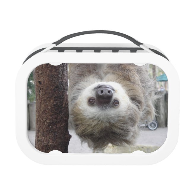 Sloth Lunchbox (Back)
