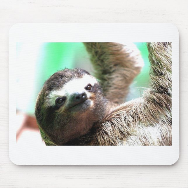 Sloth Mousepad (Front)