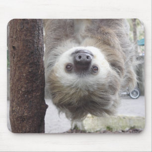 Sloth Mousepad