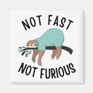 Sloth Not Fast Not Furious Magnet