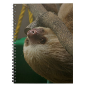 Sloth Notebook