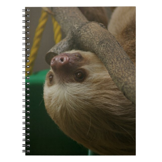 Sloth Notebook (Front)