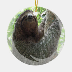 Sloth Ornament