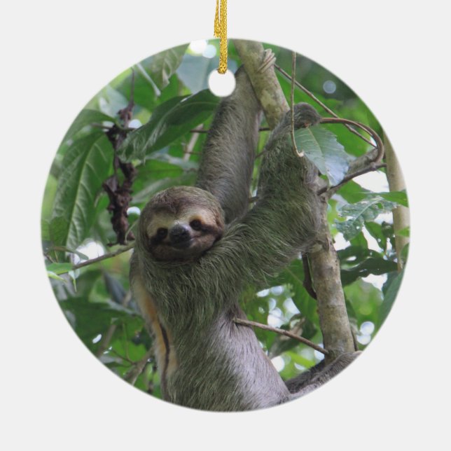 Sloth Ornament (Back)