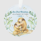Sloth Our First Christmas As A Family of 3