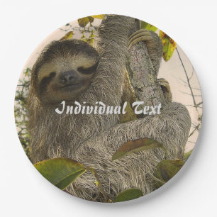 sloth paper plates