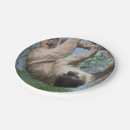 Sloth Paper Plates | Zazzle.com