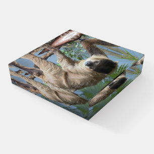 Sloth Paperweight