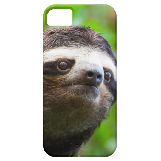 SLOTH Phone Case | Zazzle.com