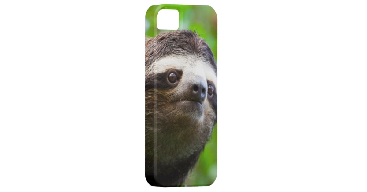 SLOTH Phone Case | Zazzle