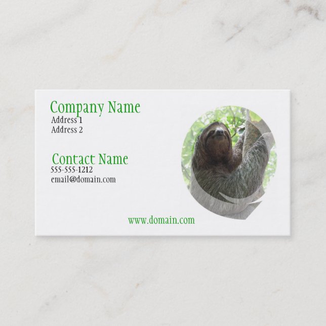 Sloth Photo Design Business Card (Front)
