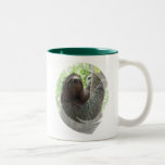 Sloth Photo Design Ceramic Coffee Mug