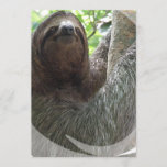 Sloth Photo Design Invitation