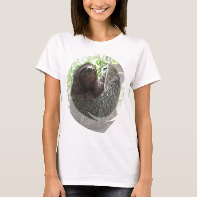 Sloth Photo Design Ladies Fitted T-Shirt (Front)