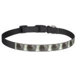 Sloth Photo Design Pet Collar