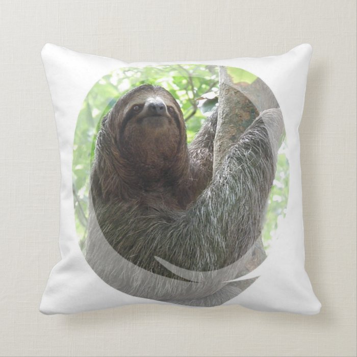 Sloth Photo Design Pillow