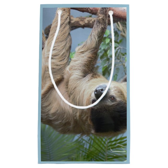 Sloth Photo Gift Bag (Front)