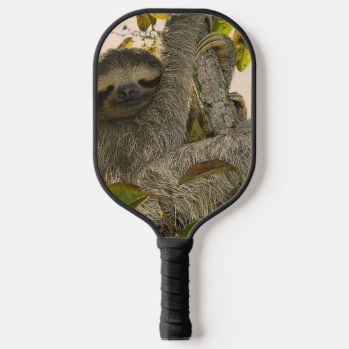 sloth pickleball paddle