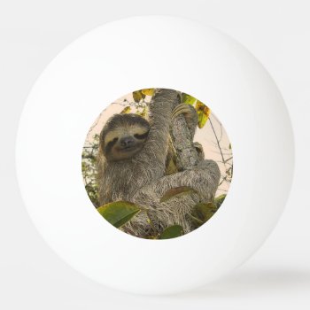 Sloth Ping-pong Ball by MehrFarbeImLeben at Zazzle